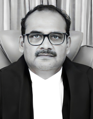 Hon’ble Mr. Justice J.K. Maheshwari